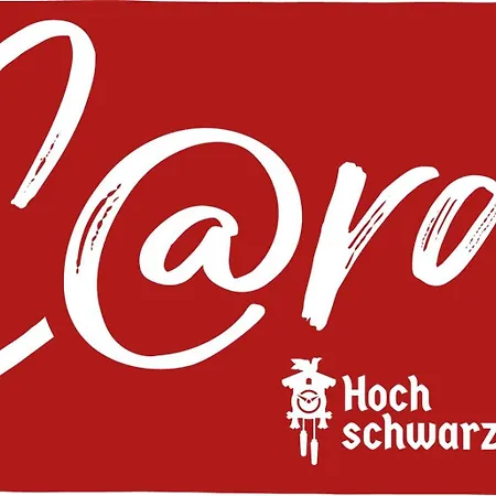 Apartman Schwarzwaldklause Schwarzwaelder Hirsch Feldberg